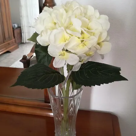 Casa Frau Apartmán Assemini
